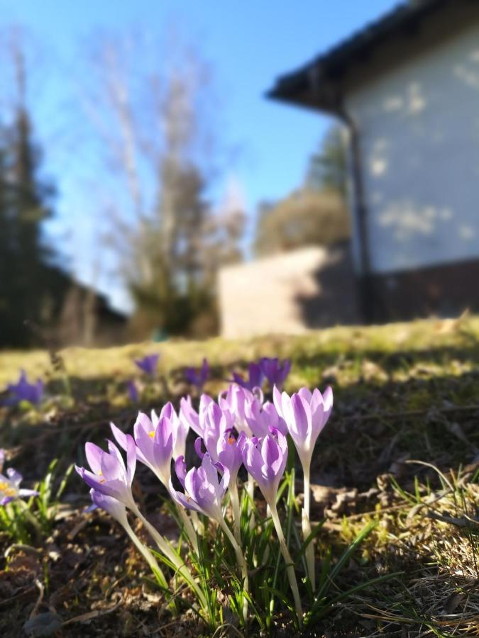 Haus Zur Lachenden Lieselotte I 5 Minuten Zu Fuss Zum Kostenlosen Naturbad I Messenaehe I Waldnaehe Villa Postbauer-Heng Buitenkant foto